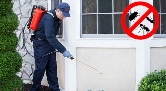 Kartepe Bit İlaçlama böcek ilaçlama ve haşere kontrolü — ilaclama-tr.com